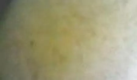 یار توت فرنگی یک خروس در الاغ و دانلود کانال سکسی سوپر بیدمشک می گیرد