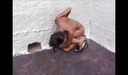 ضربه زدن بی قرار در گربه های چسبنده و دختر با شورت دانلود فیلم سوپر درتلگرام های پاره شده روی نیمکت