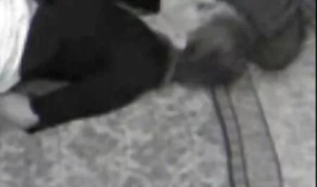 پاهای خود را دانلود فیلم سوپر سکسی گسترش داد و خودش را در گربه با اسباب بازی های مختلف سکسی لعنتی
